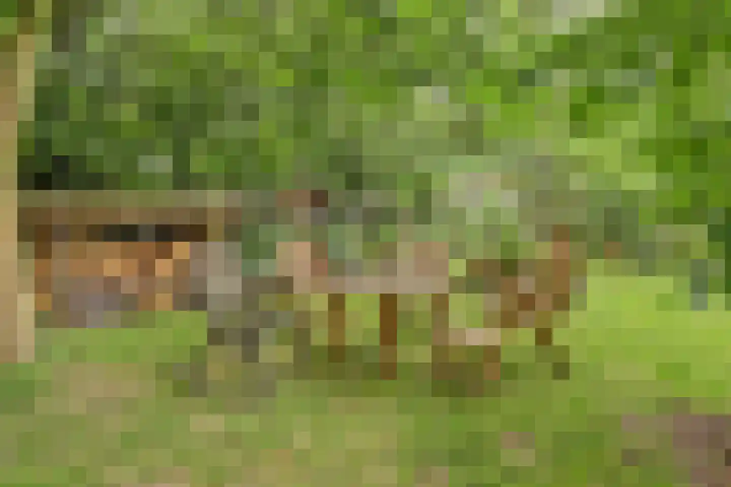 Walbeckerweg 16 Arcen thumbnail 39