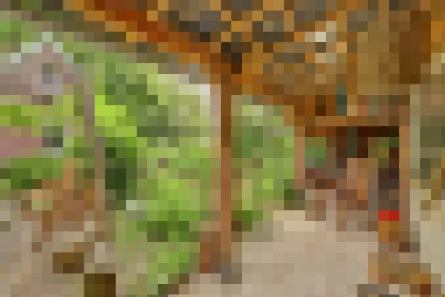 Walbeckerweg 16 Arcen thumbnail 4