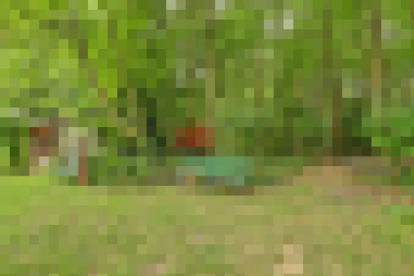 Walbeckerweg 16 Arcen thumbnail 40