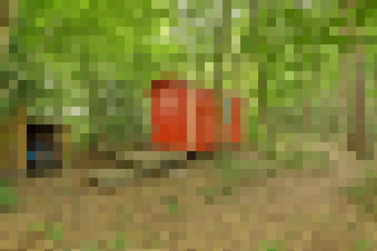 Walbeckerweg 16 Arcen thumbnail 41