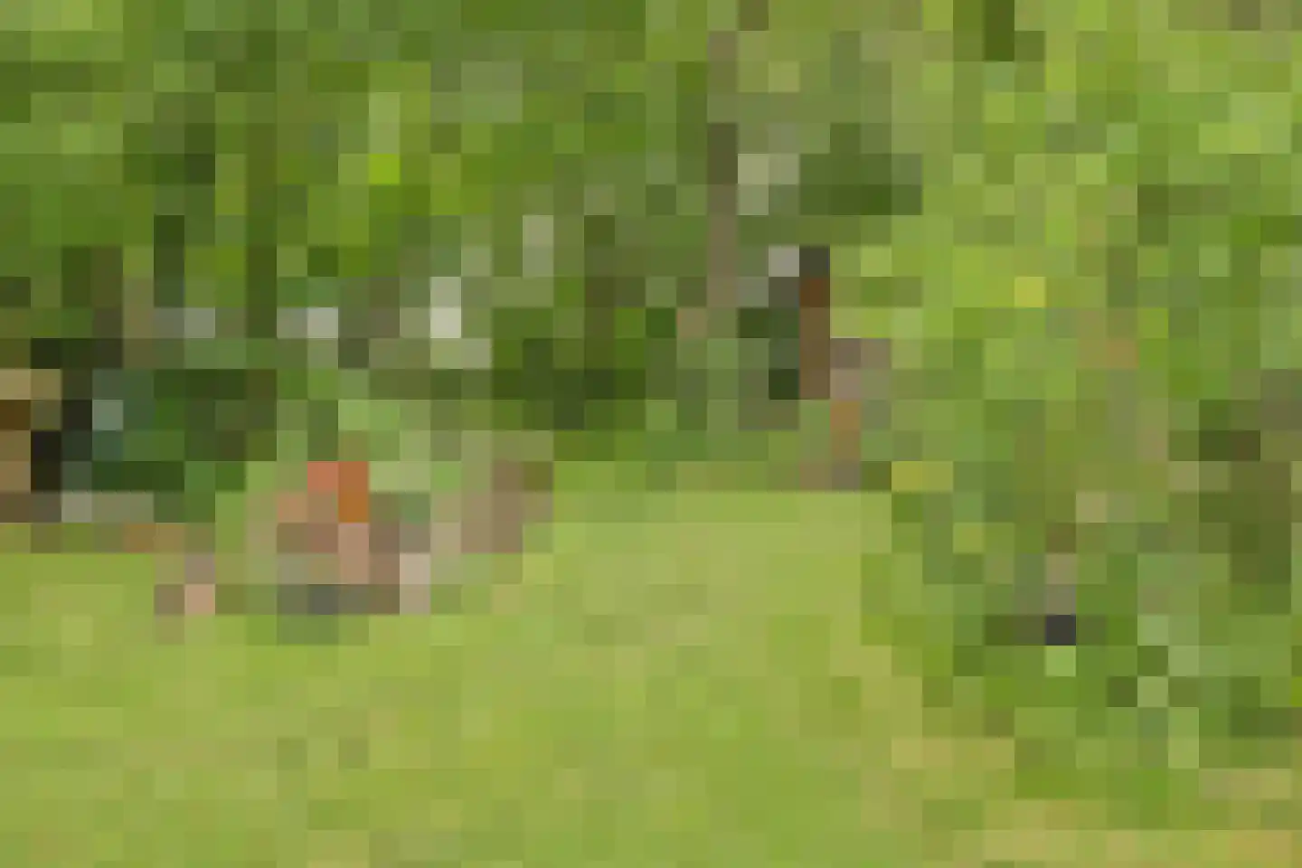 Walbeckerweg 16 Arcen thumbnail 43