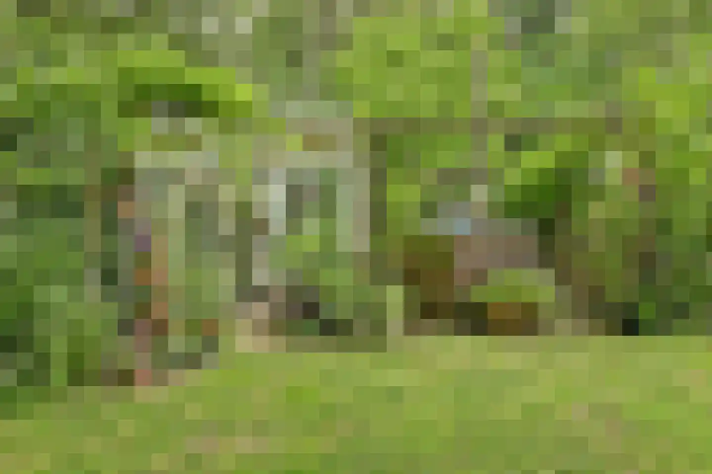 Walbeckerweg 16 Arcen thumbnail 44