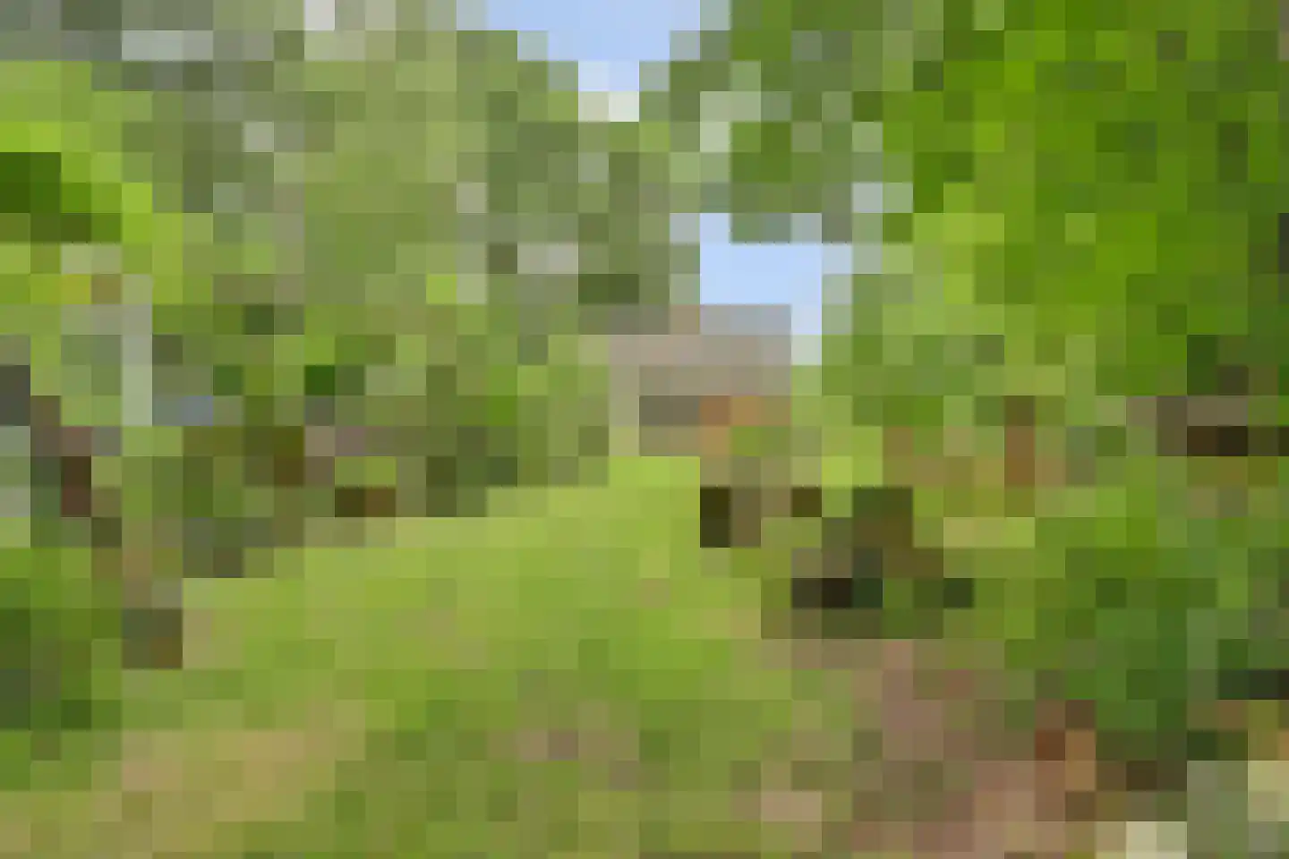 Walbeckerweg 16 Arcen thumbnail 45