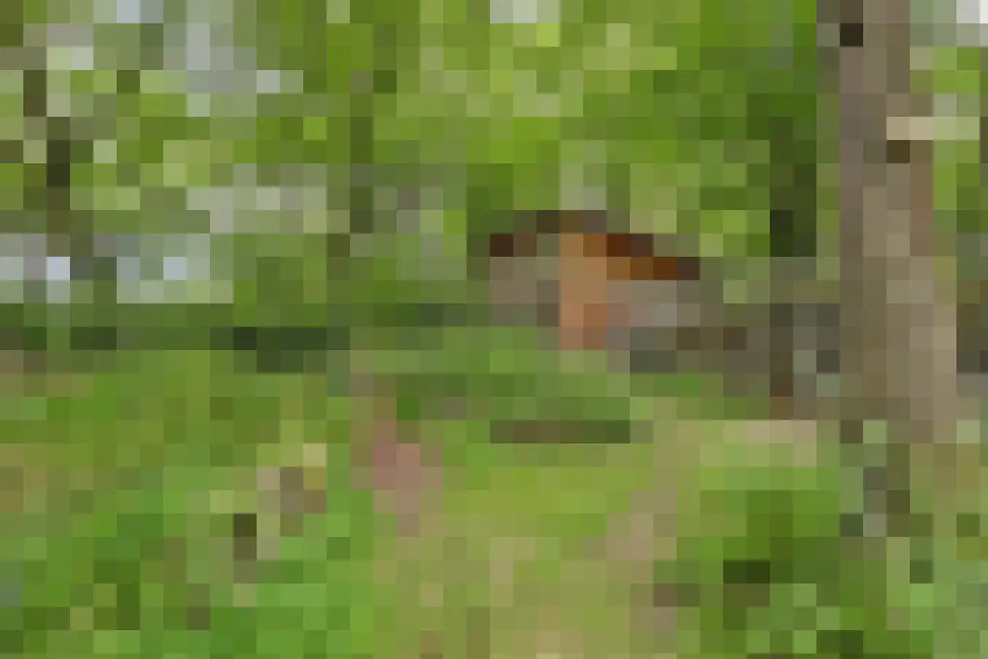 Walbeckerweg 16 Arcen thumbnail 46