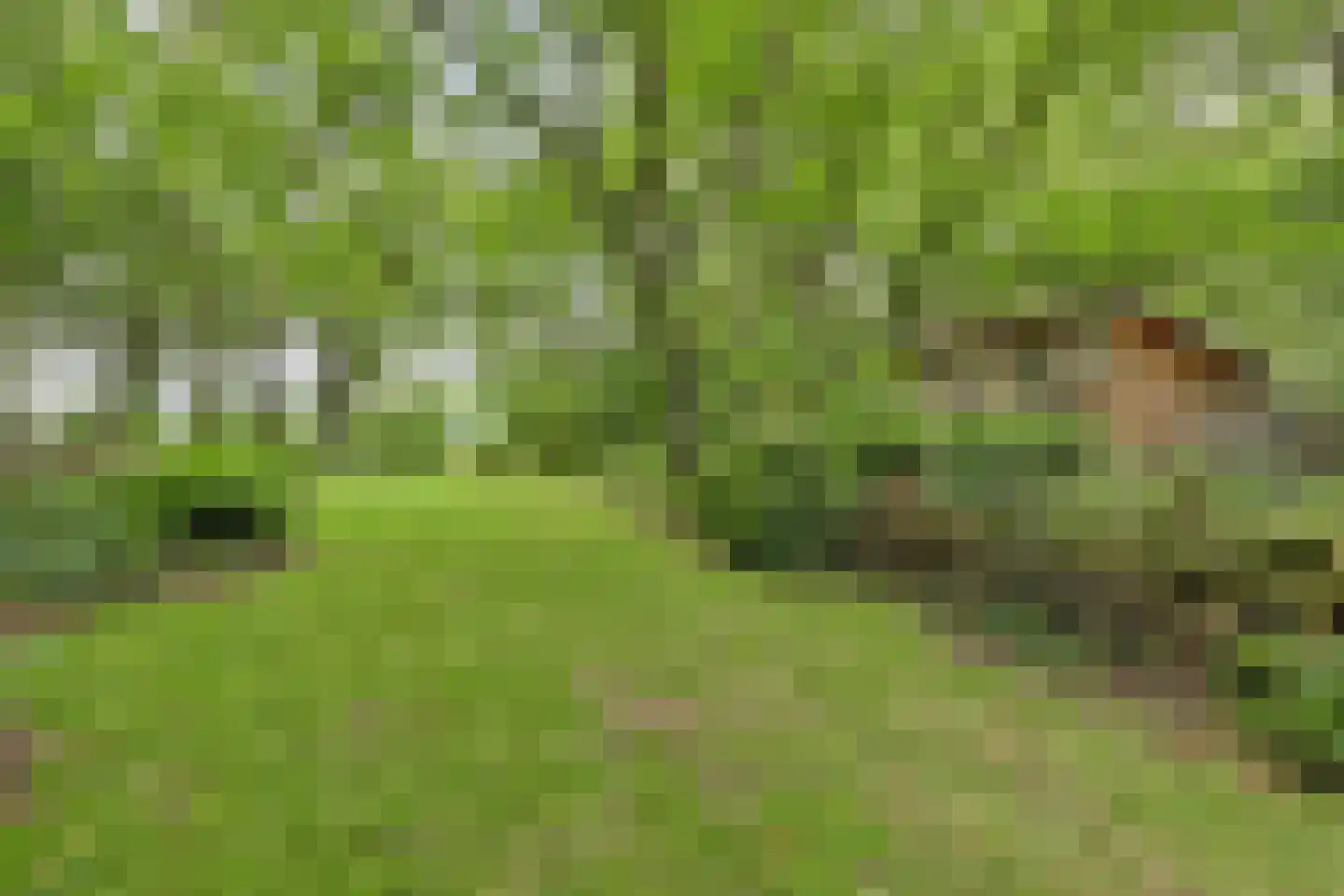 Walbeckerweg 16 Arcen thumbnail 47