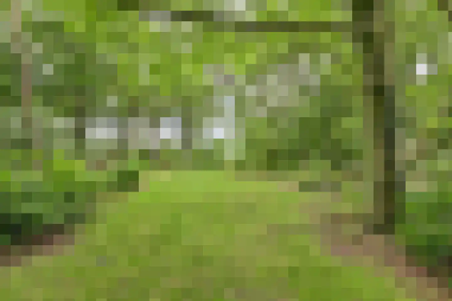 Walbeckerweg 16 Arcen thumbnail 48
