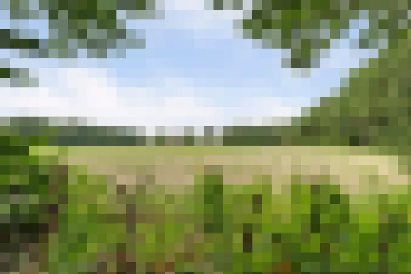 Walbeckerweg 16 Arcen thumbnail 49