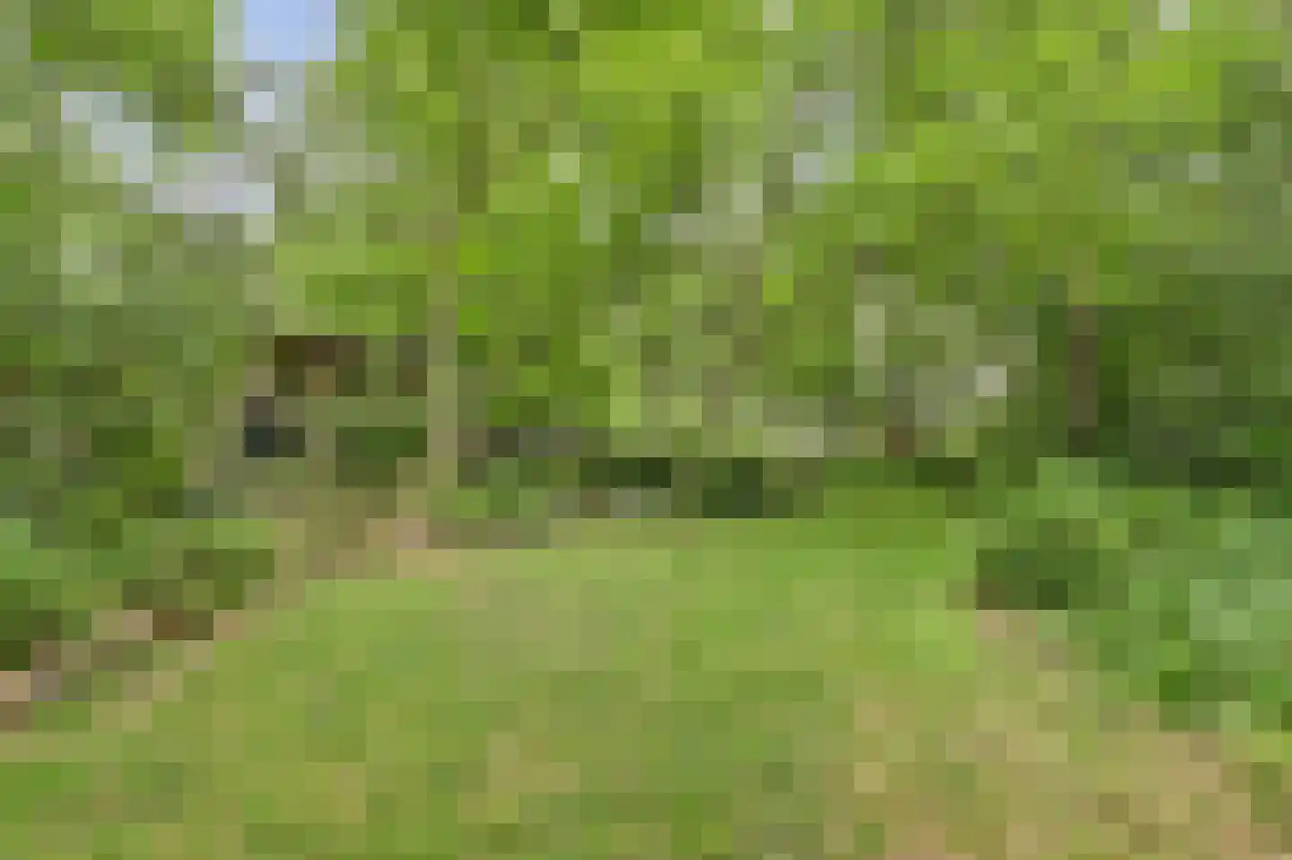 Walbeckerweg 16 Arcen thumbnail 50