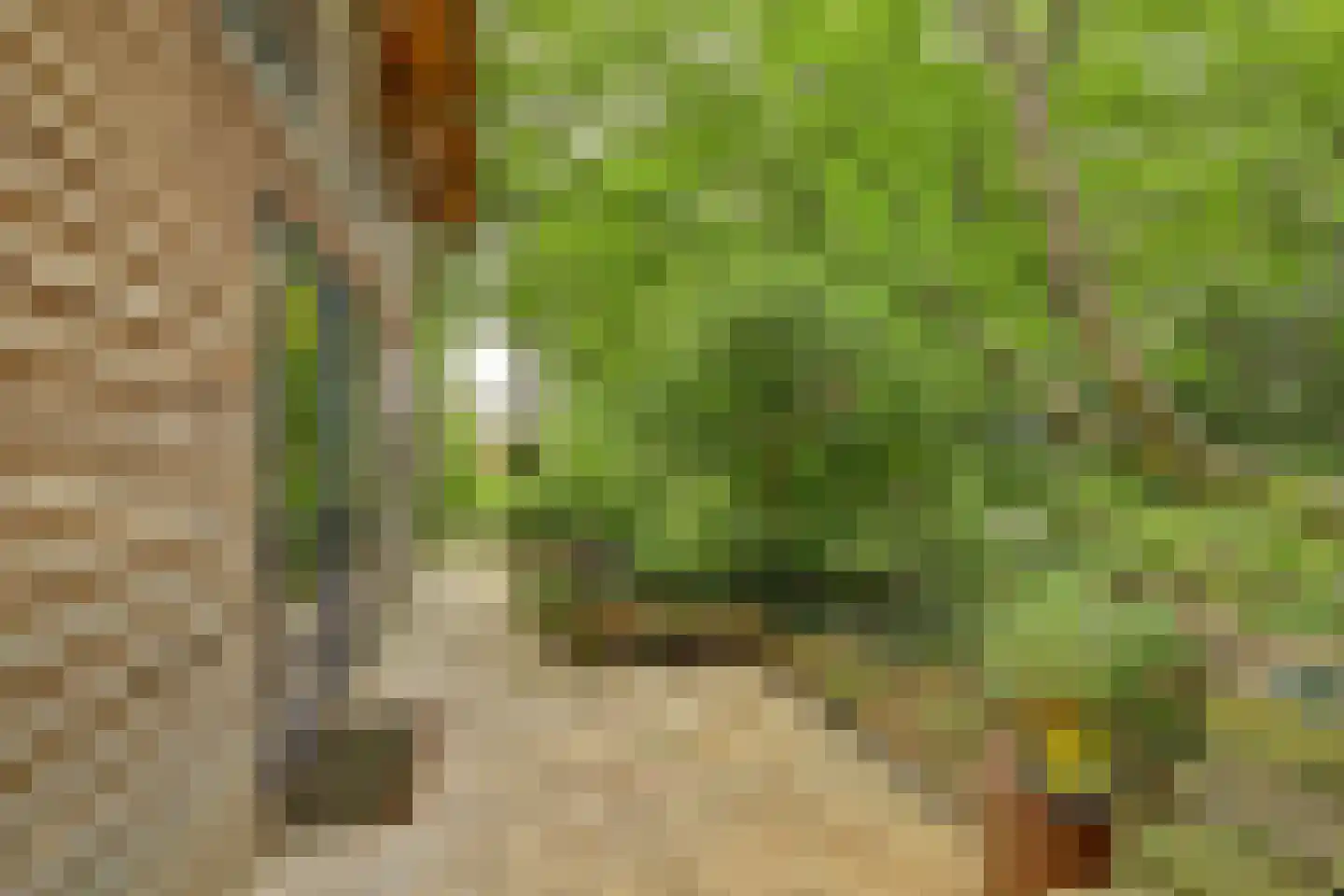 Walbeckerweg 16 Arcen thumbnail 53