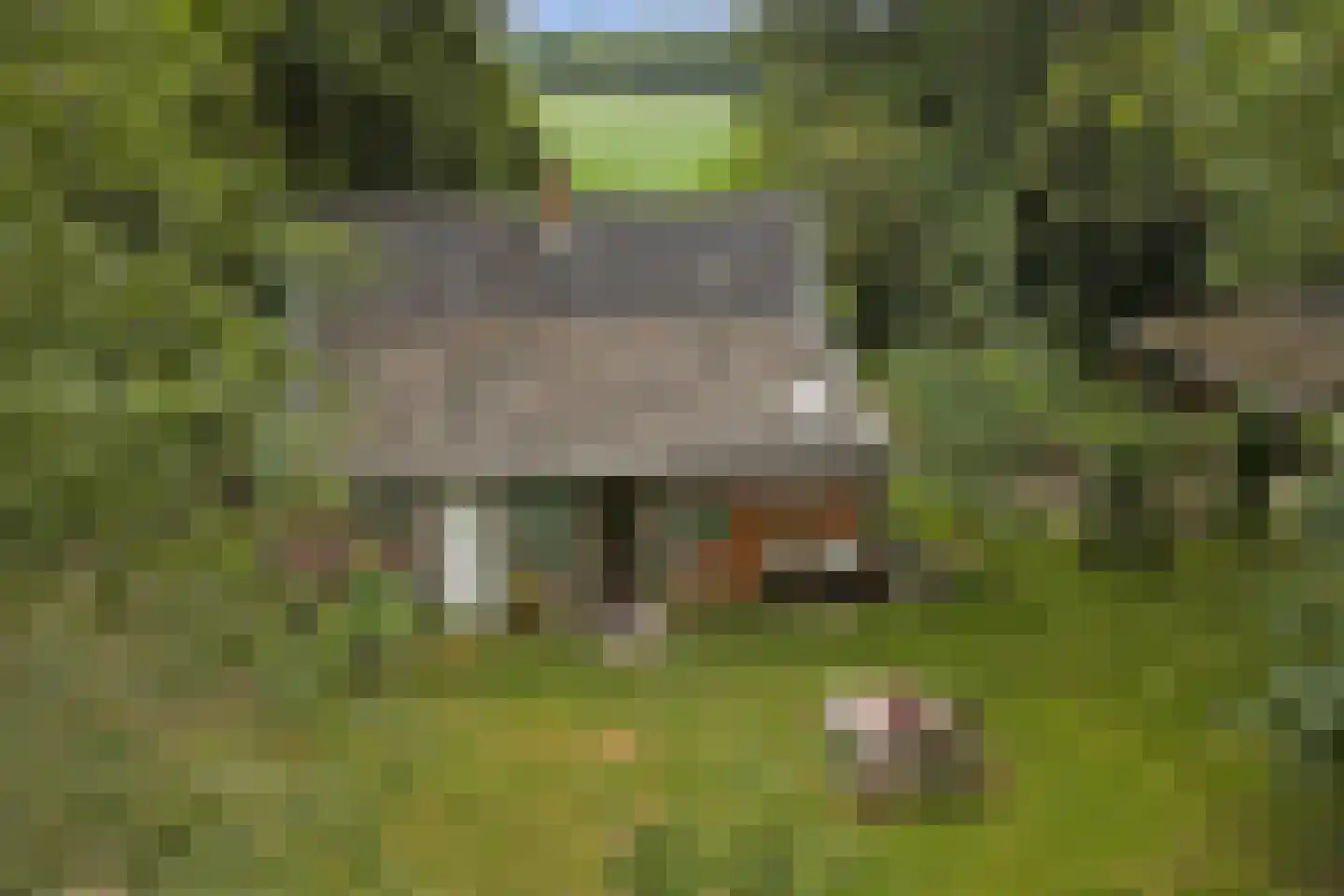 Walbeckerweg 16 Arcen thumbnail 54