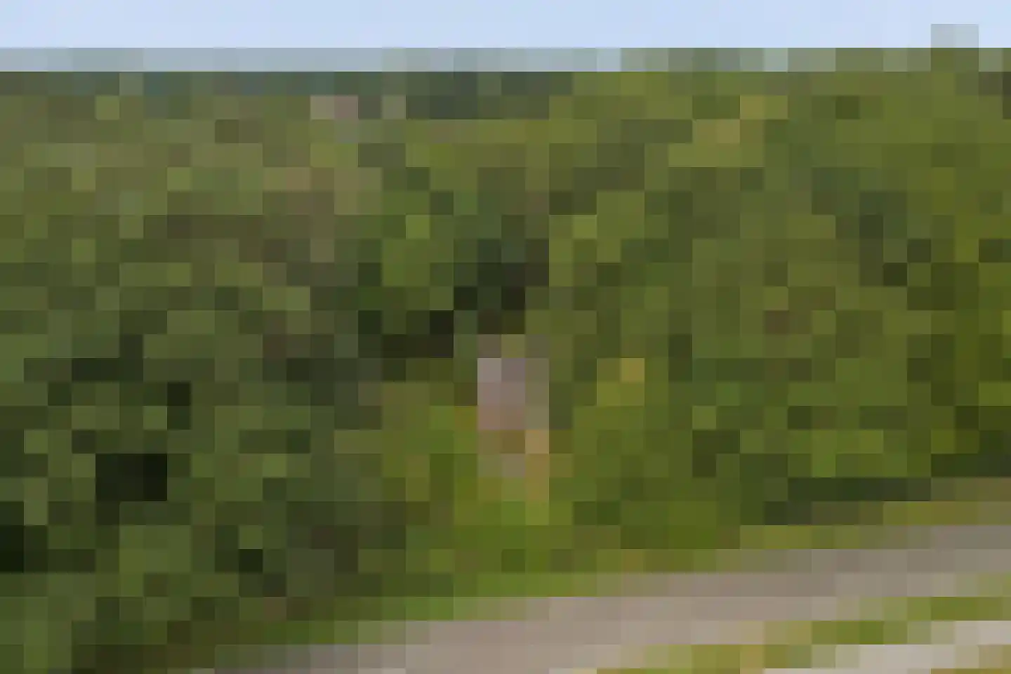 Walbeckerweg 16 Arcen thumbnail 55
