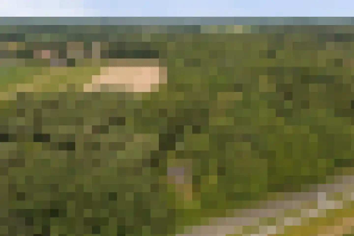 Walbeckerweg 16 Arcen thumbnail 56