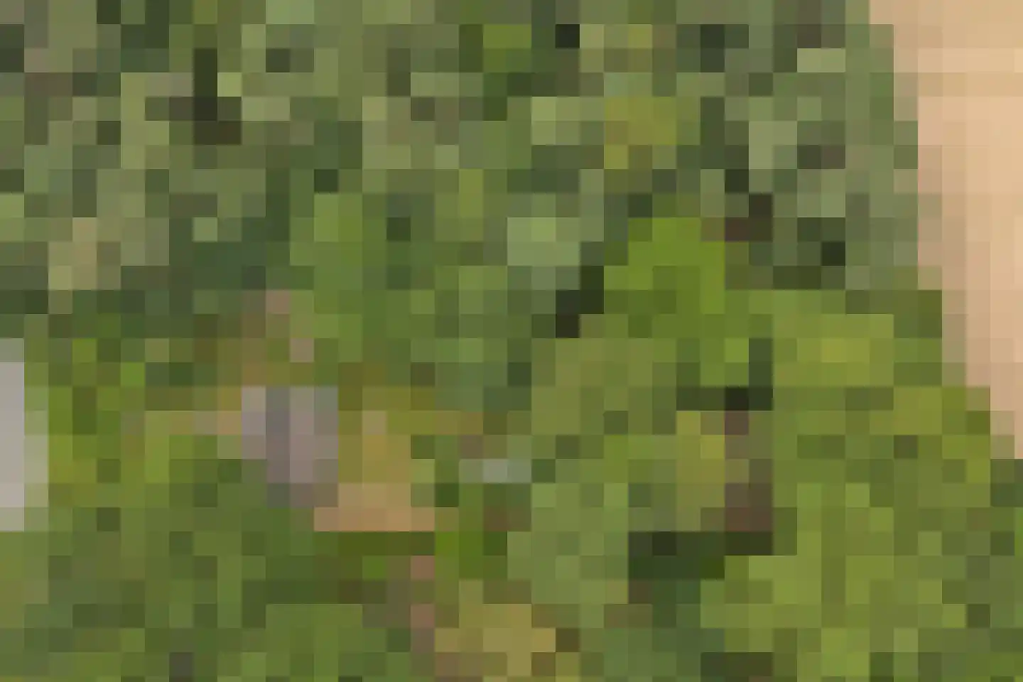 Walbeckerweg 16 Arcen thumbnail 57