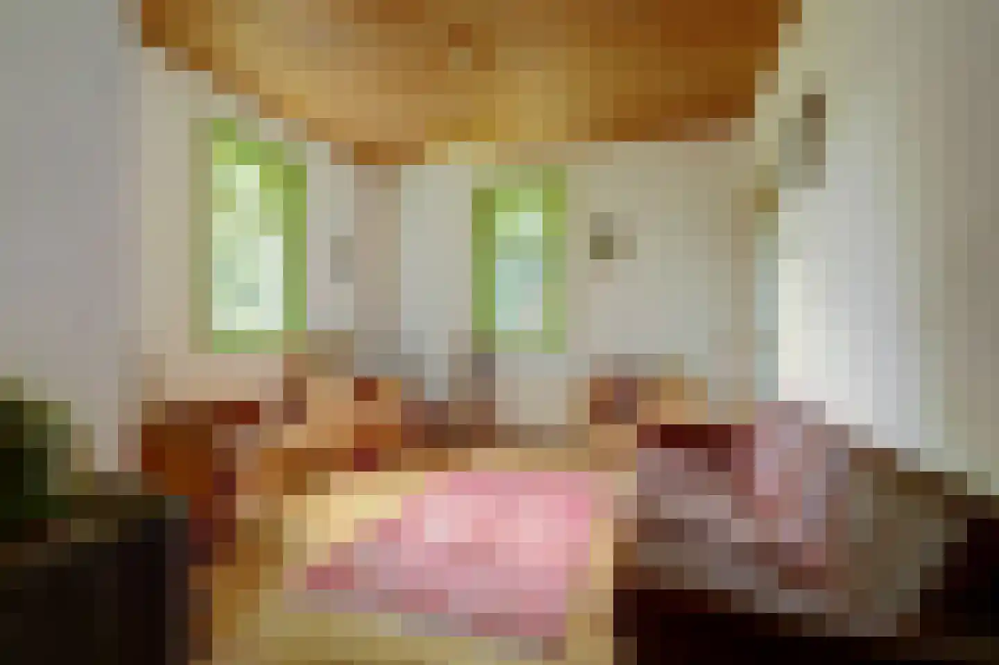 Walbeckerweg 16 Arcen thumbnail 6