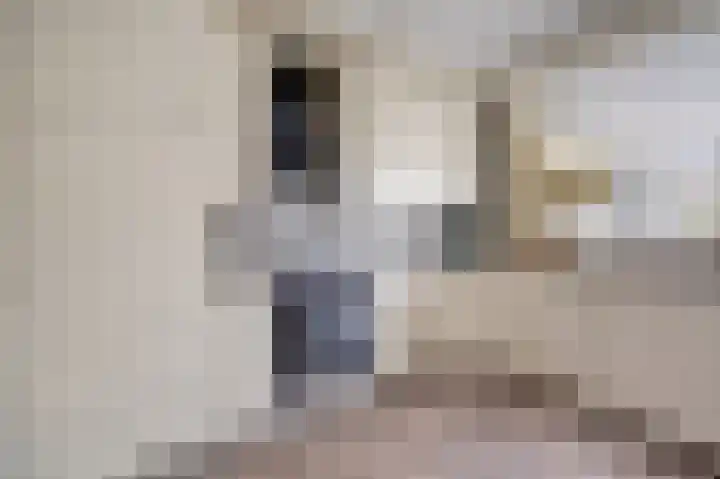 Walborgpad 18 Rotterdam thumbnail 10