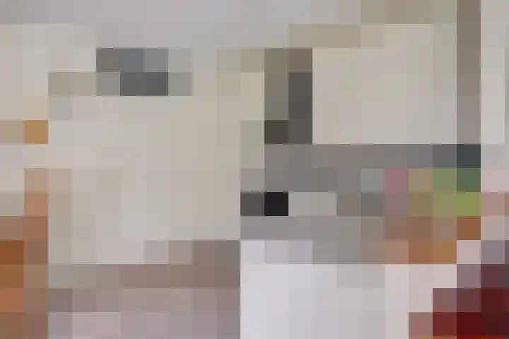 Walborgpad 18 Rotterdam thumbnail 11