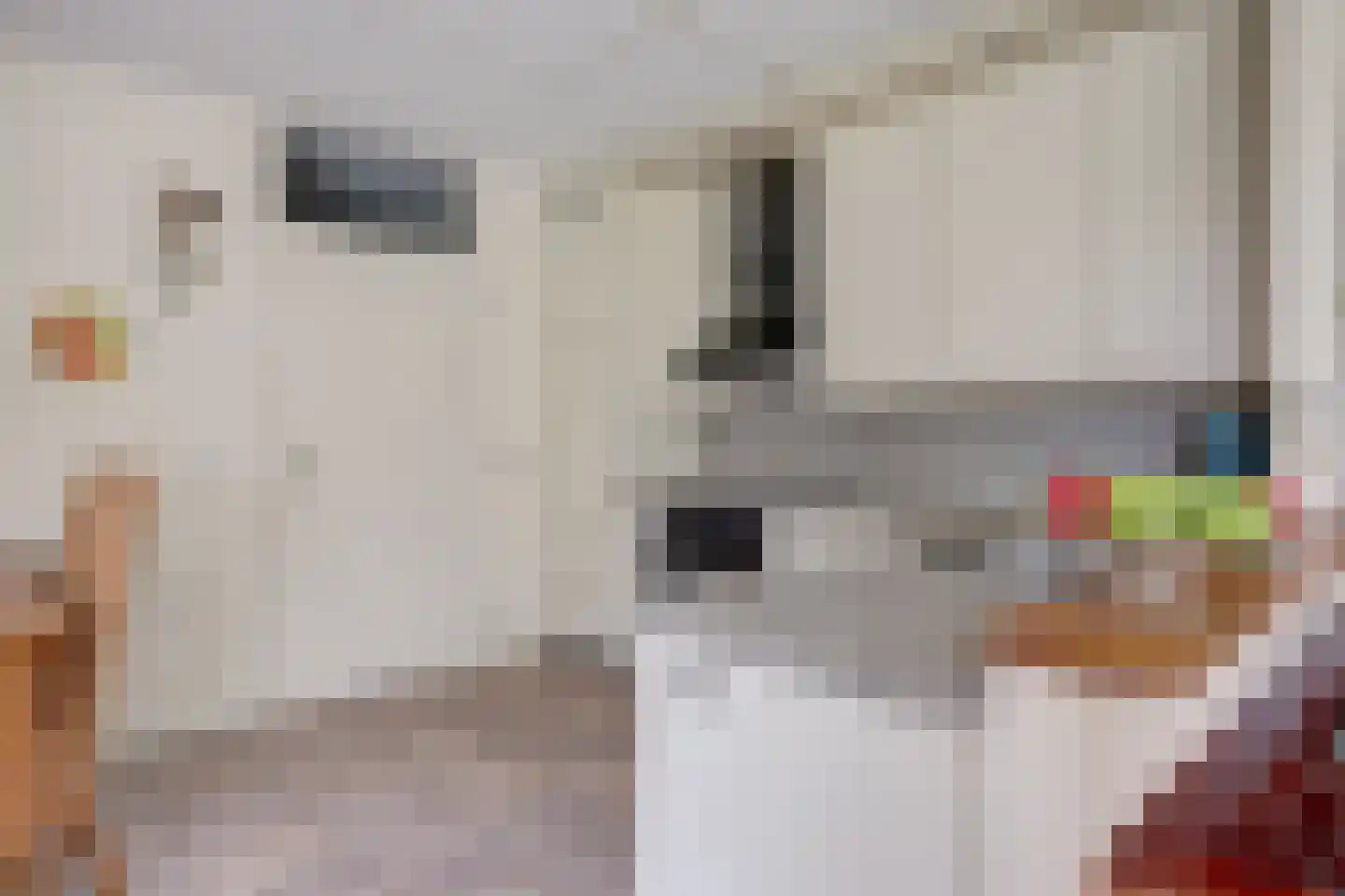 Walborgpad 18 Rotterdam thumbnail 11
