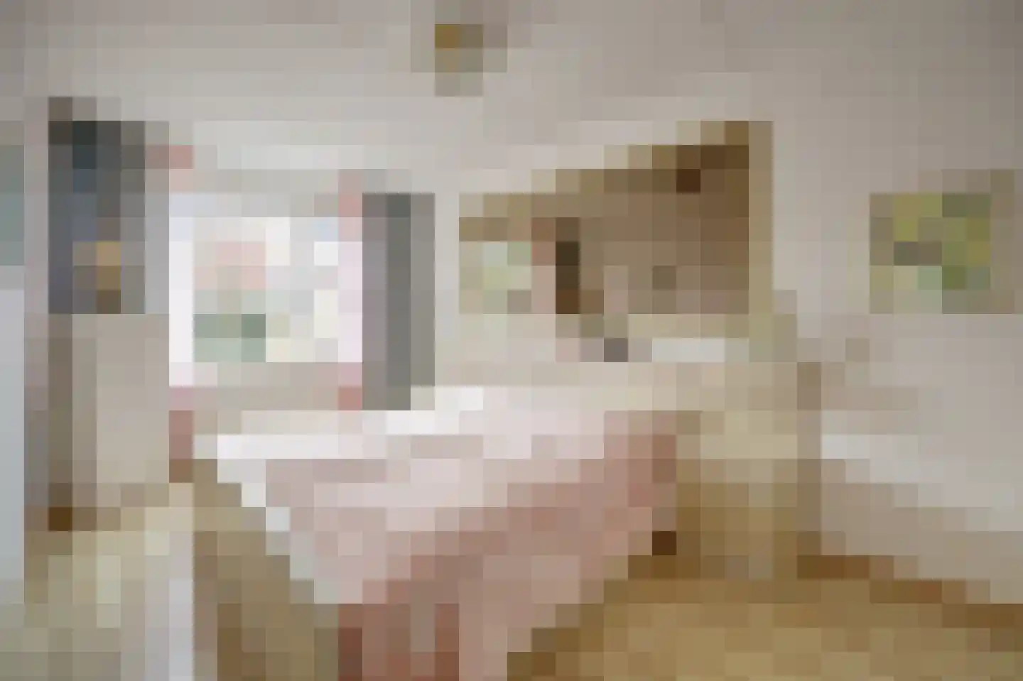 Walborgpad 18 Rotterdam thumbnail 12
