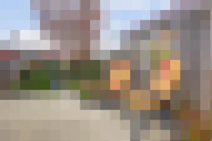 Walborgpad 18 Rotterdam thumbnail 18