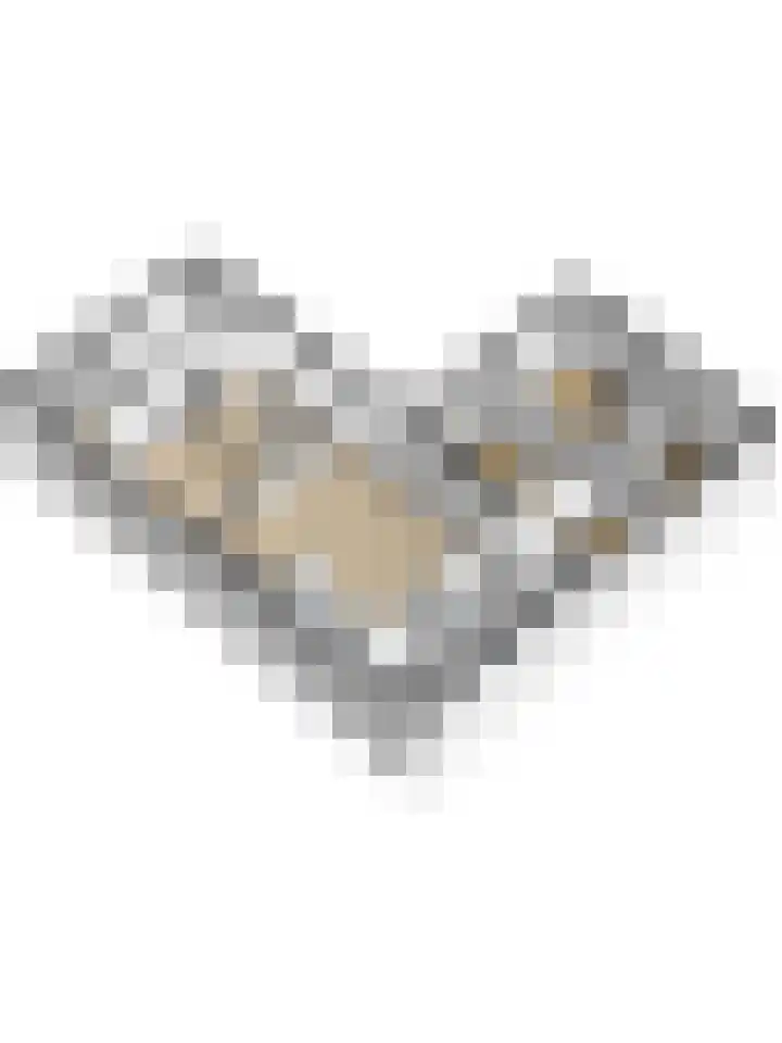 Walborgpad 18 Rotterdam thumbnail 22