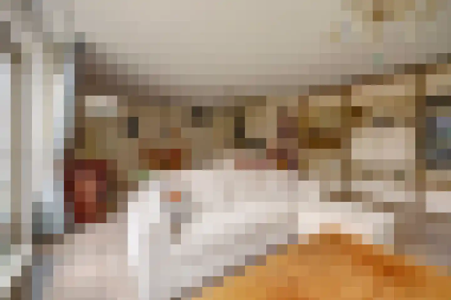 Walborgpad 18 Rotterdam thumbnail 5