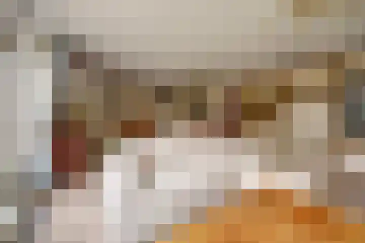 Walborgpad 18 Rotterdam thumbnail 5