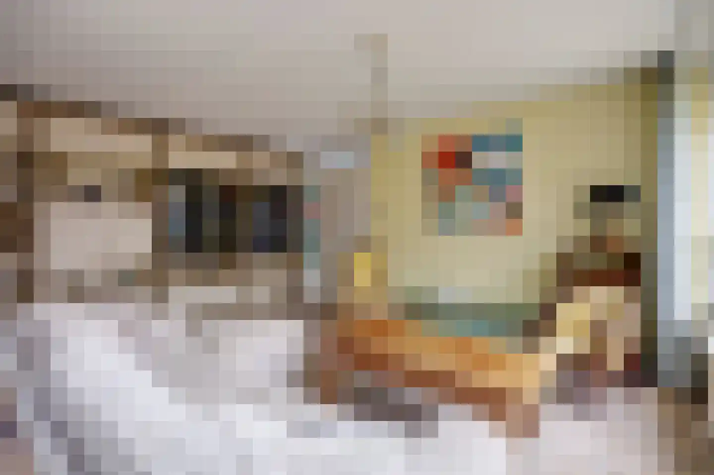 Walborgpad 18 Rotterdam thumbnail 8