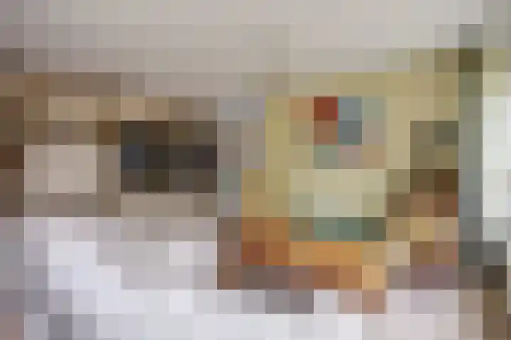 Walborgpad 18 Rotterdam thumbnail 8