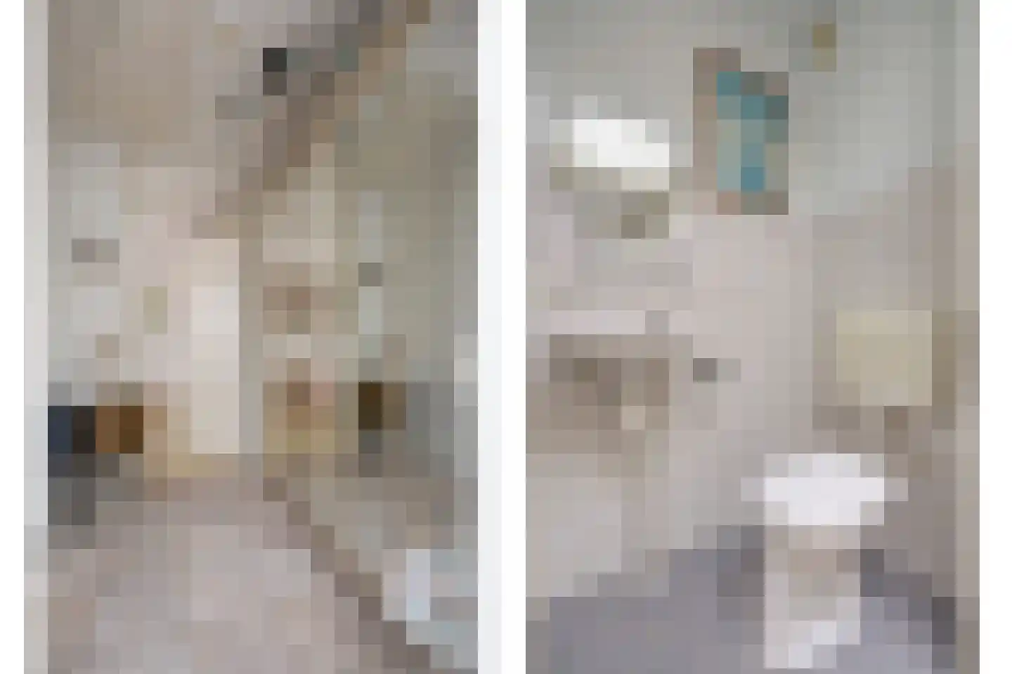 Walborgpad 18 Rotterdam thumbnail 9