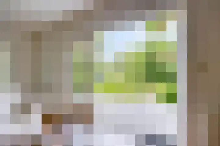 Walbreukergraaf 16 Roermond thumbnail 17