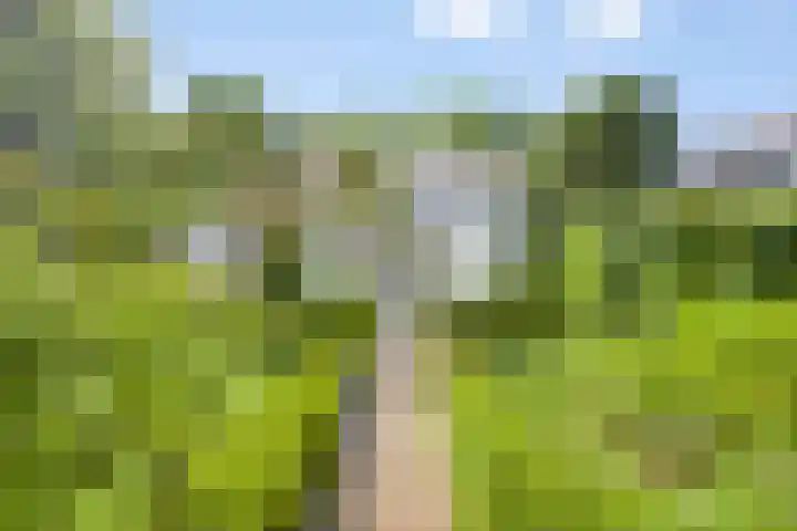 Walbreukergraaf 16 Roermond thumbnail 41