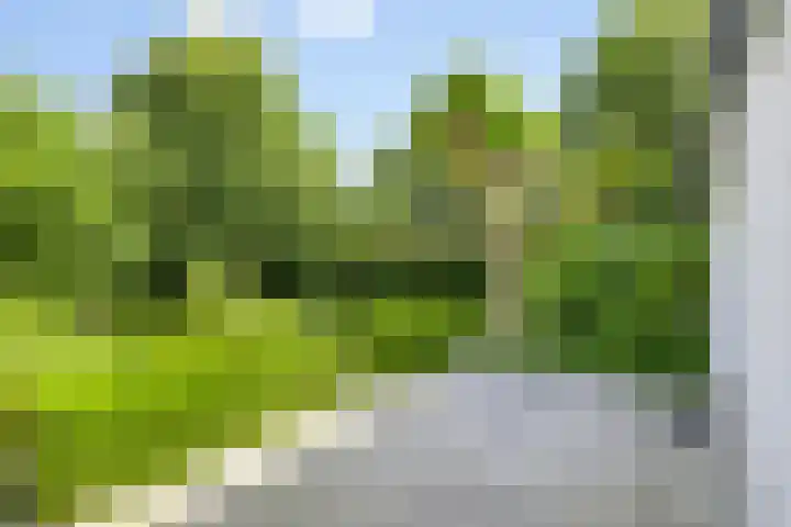 Walbreukergraaf 16 Roermond thumbnail 42