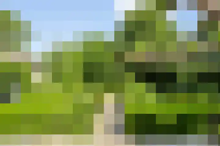 Walbreukergraaf 16 Roermond thumbnail 43