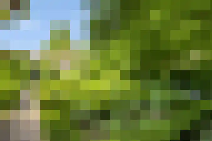 Walbreukergraaf 16 Roermond thumbnail 45