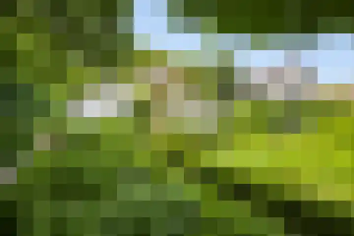Walbreukergraaf 16 Roermond thumbnail 46