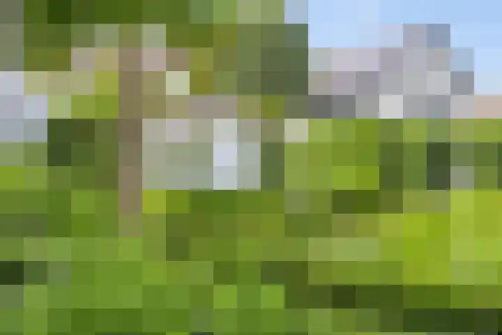 Walbreukergraaf 16 Roermond thumbnail 47