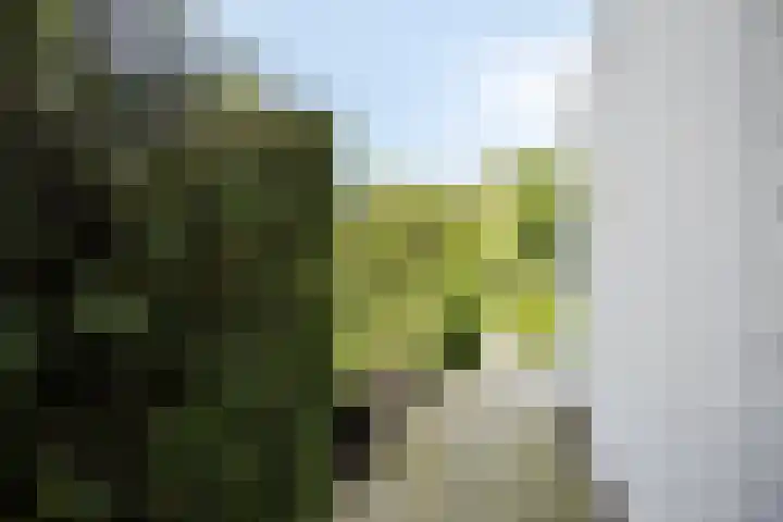 Walbreukergraaf 16 Roermond thumbnail 50