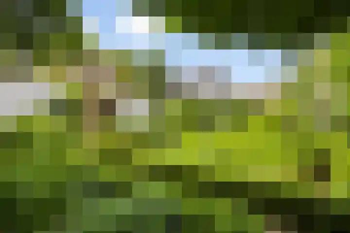 Walbreukergraaf 16 Roermond thumbnail 52