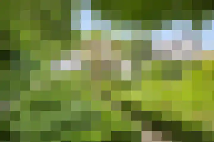 Walbreukergraaf 16 Roermond thumbnail 53