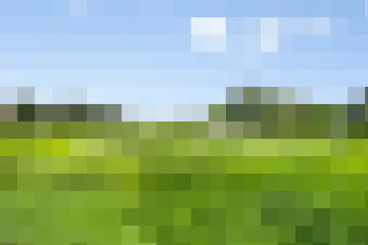 Walbreukergraaf 16 Roermond thumbnail 54