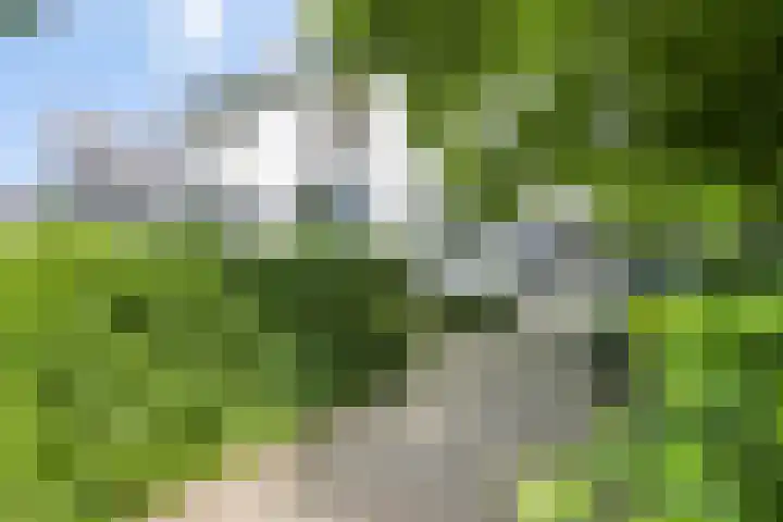 Walbreukergraaf 16 Roermond thumbnail 6