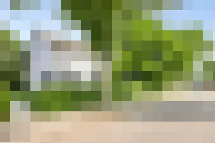 Walbreukergraaf 16 Roermond thumbnail 62