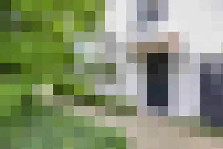 Walbreukergraaf 16 Roermond thumbnail 7
