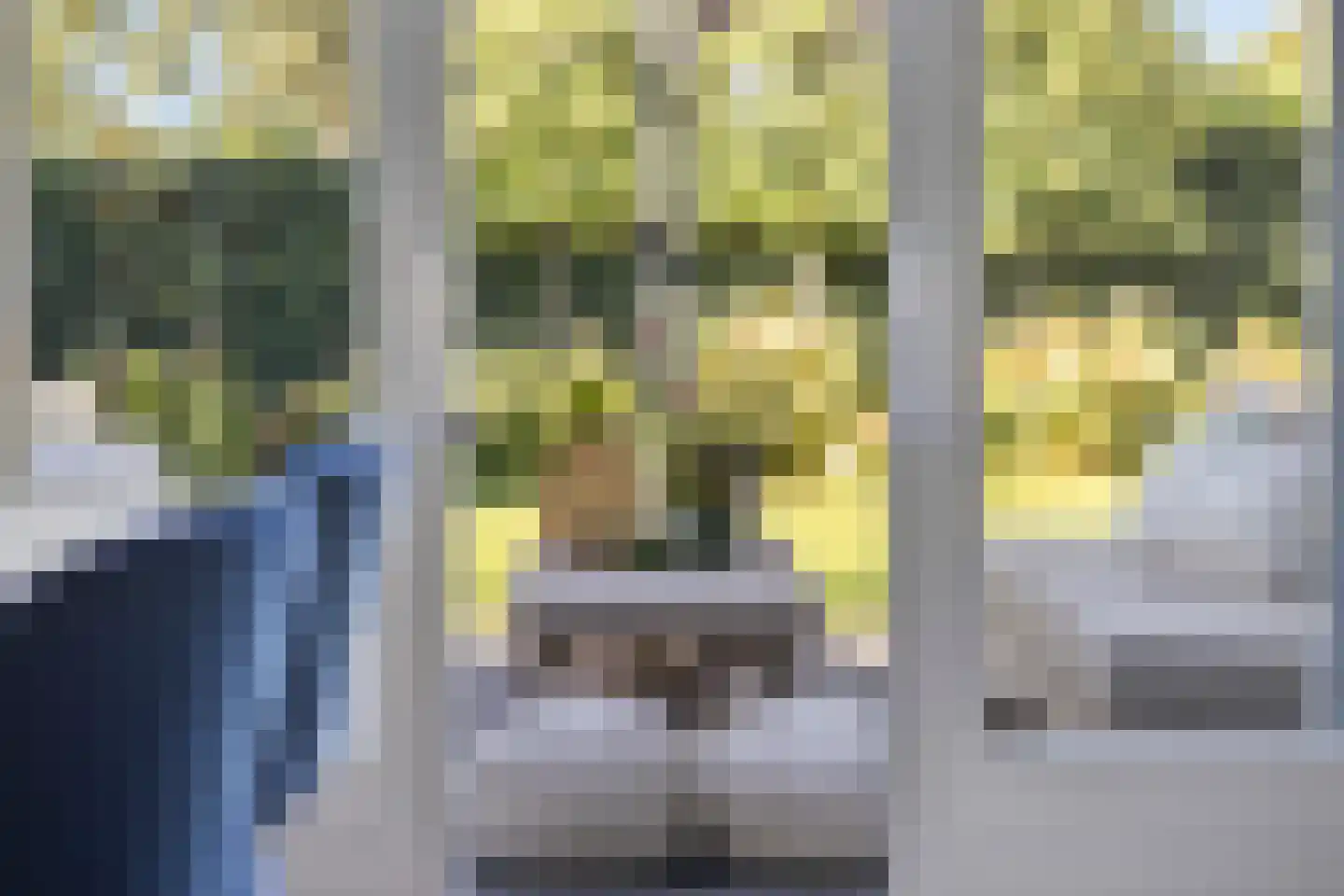 Walbreukergraaf 22 Roermond thumbnail 18