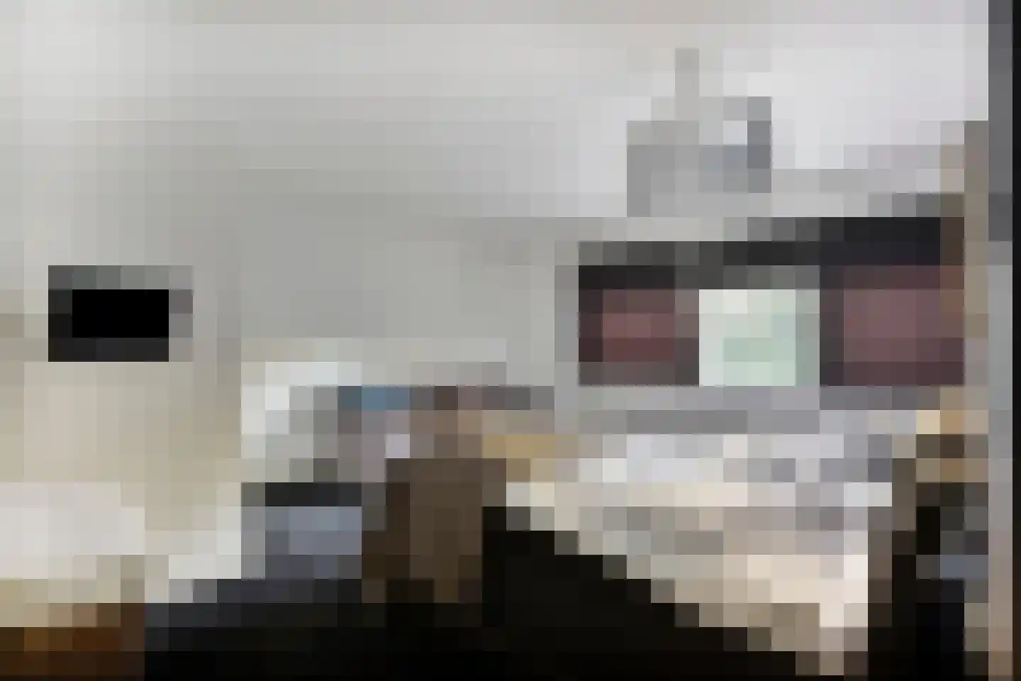Walbreukergraaf 22 Roermond thumbnail 26