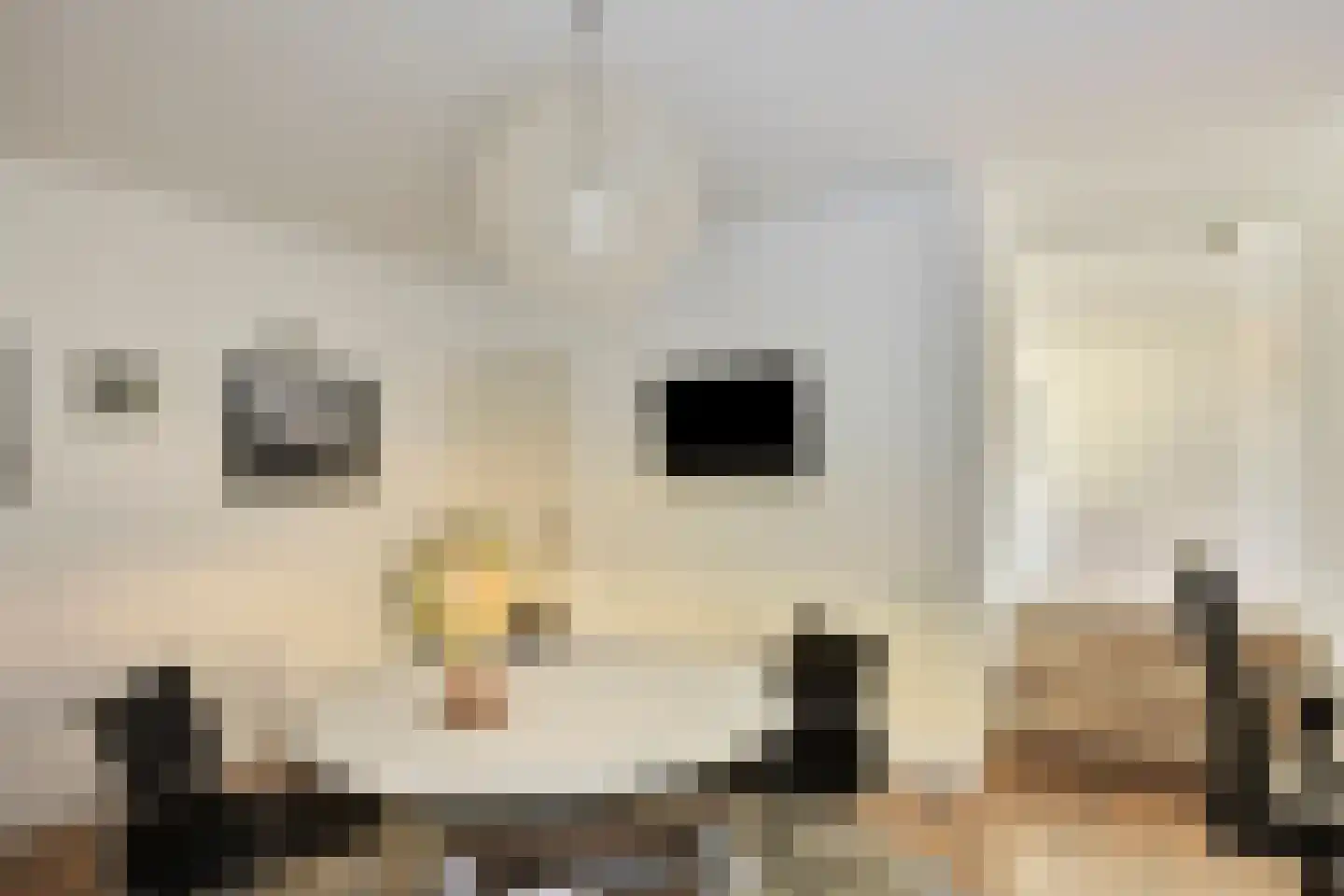 Walbreukergraaf 22 Roermond thumbnail 32