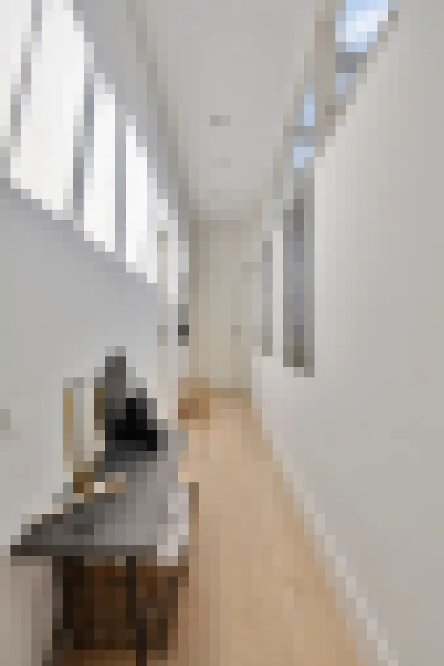 Walbreukergraaf 22 Roermond thumbnail 35