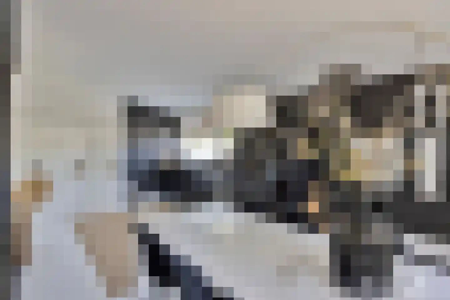 Walbreukergraaf 22 Roermond thumbnail 38