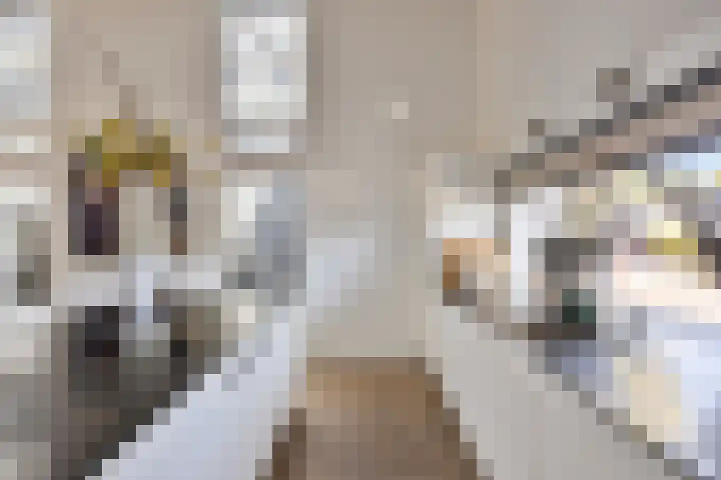 Walbreukergraaf 22 Roermond thumbnail 4
