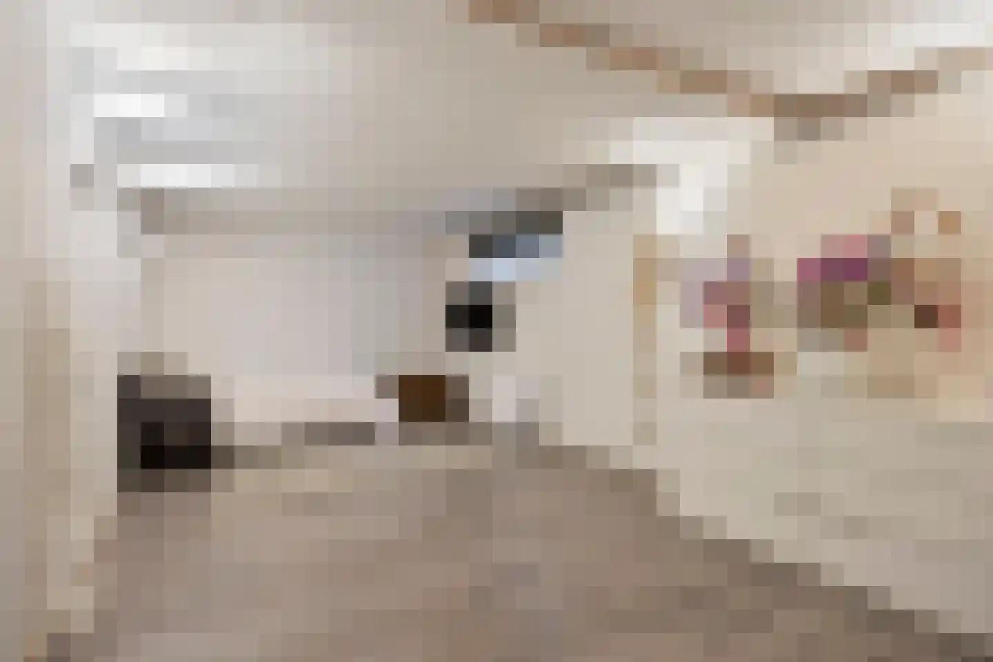 Walbreukergraaf 22 Roermond thumbnail 43